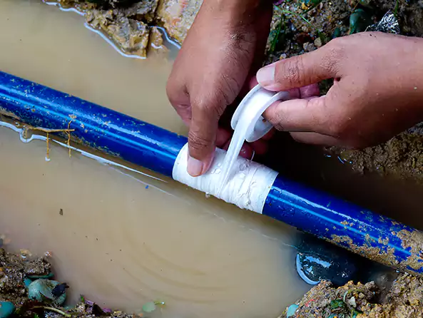  Why Choose The St. Cloud Plumbers for Leak Detection in St. Cloud, MN?]