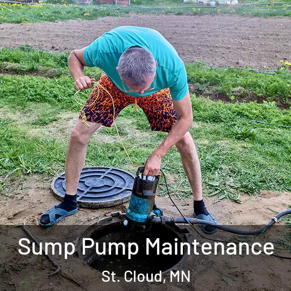  Sump Pump Maintenance St. Cloud, MN